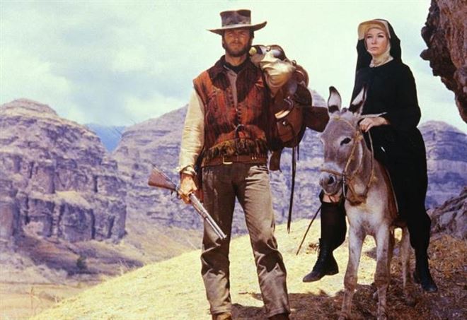 Don Ringo, cavallo&nbsp;selvaggio