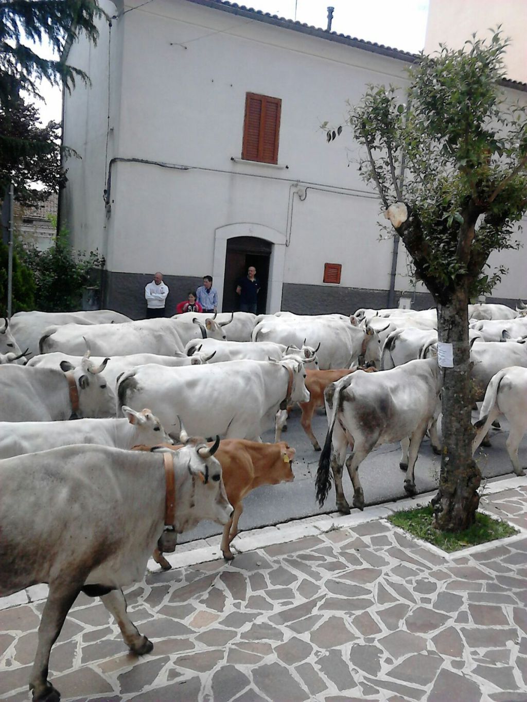 Ultim’ora: l’11 giugno, al Kill Joy di Roma, un anticipo del Reunion Tour de Le&nbsp;Cose!