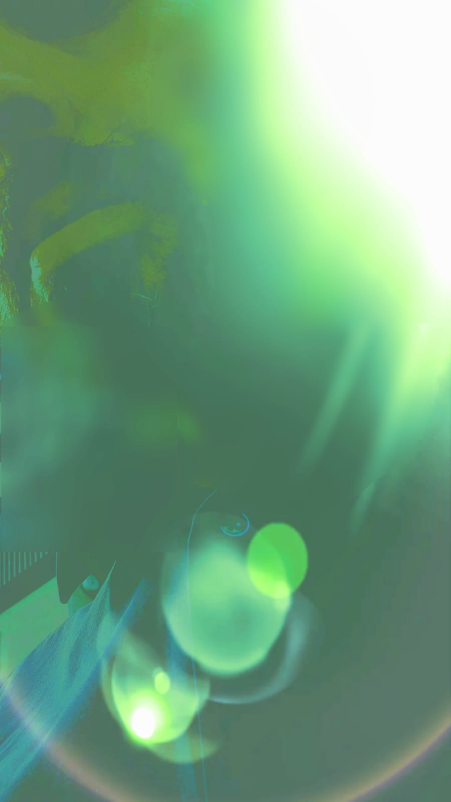 Diffusa una nuova foto ufficiale di Mercalli, Il Nostro Caro&nbsp;Leader