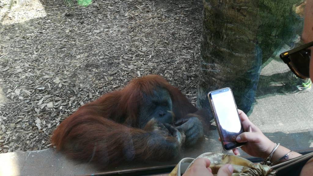 Le Cose partecipano alla Giornata Mondiale del&nbsp;Selfie!