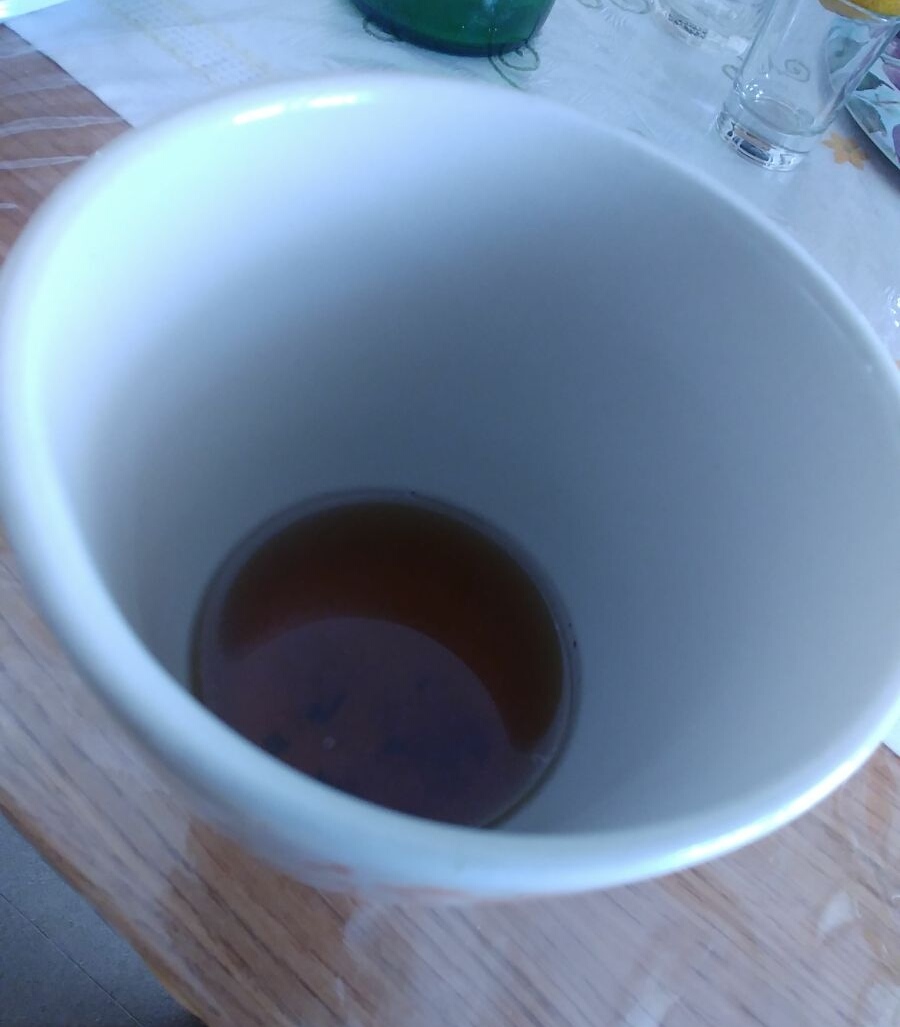 “Sto partendo per Pyramiden”. Intervista esclusiva a Don Ringo, batterista de Le&nbsp;Cose