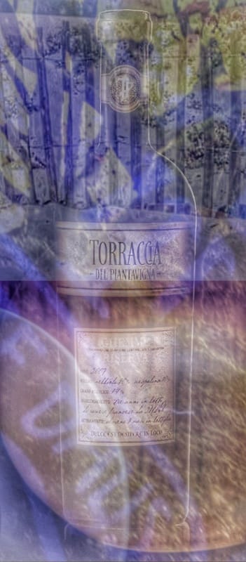 Le Cose Distopiche (parte&nbsp;8)