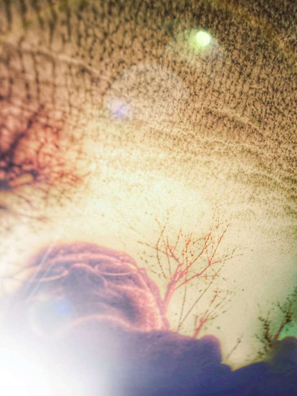 Le Cose “sub specie aeternitatis”