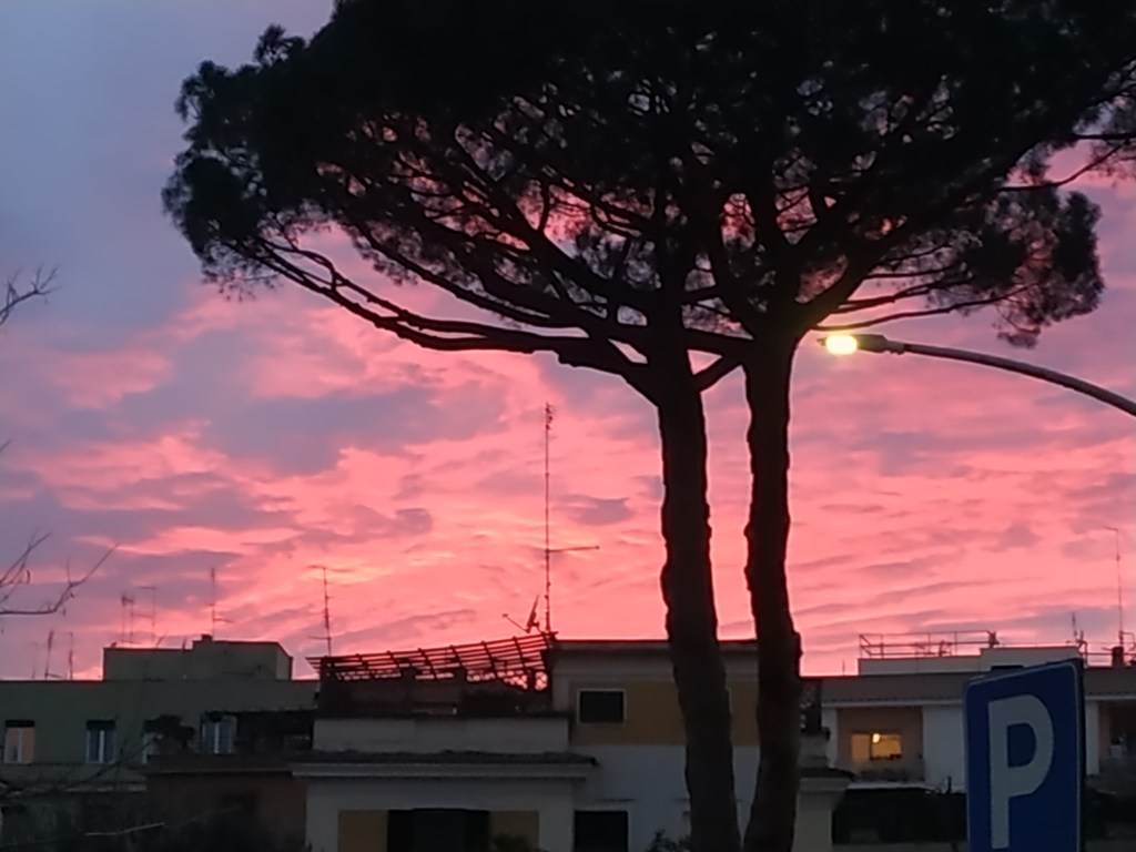 Le Cose Distopiche Extras, pt. I (A “Le Cose Distopiche” Story)