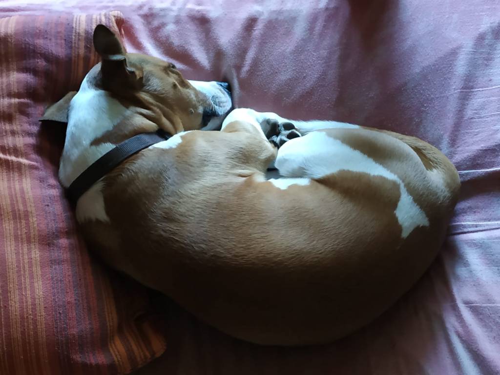 La crew de Le&nbsp;Cose