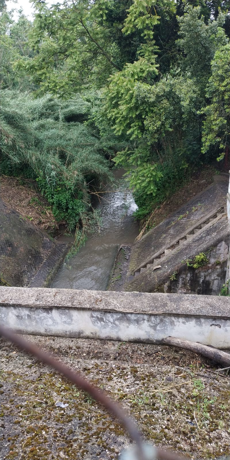 Altri Aforismi, n. 4 (agosto&nbsp;2019)