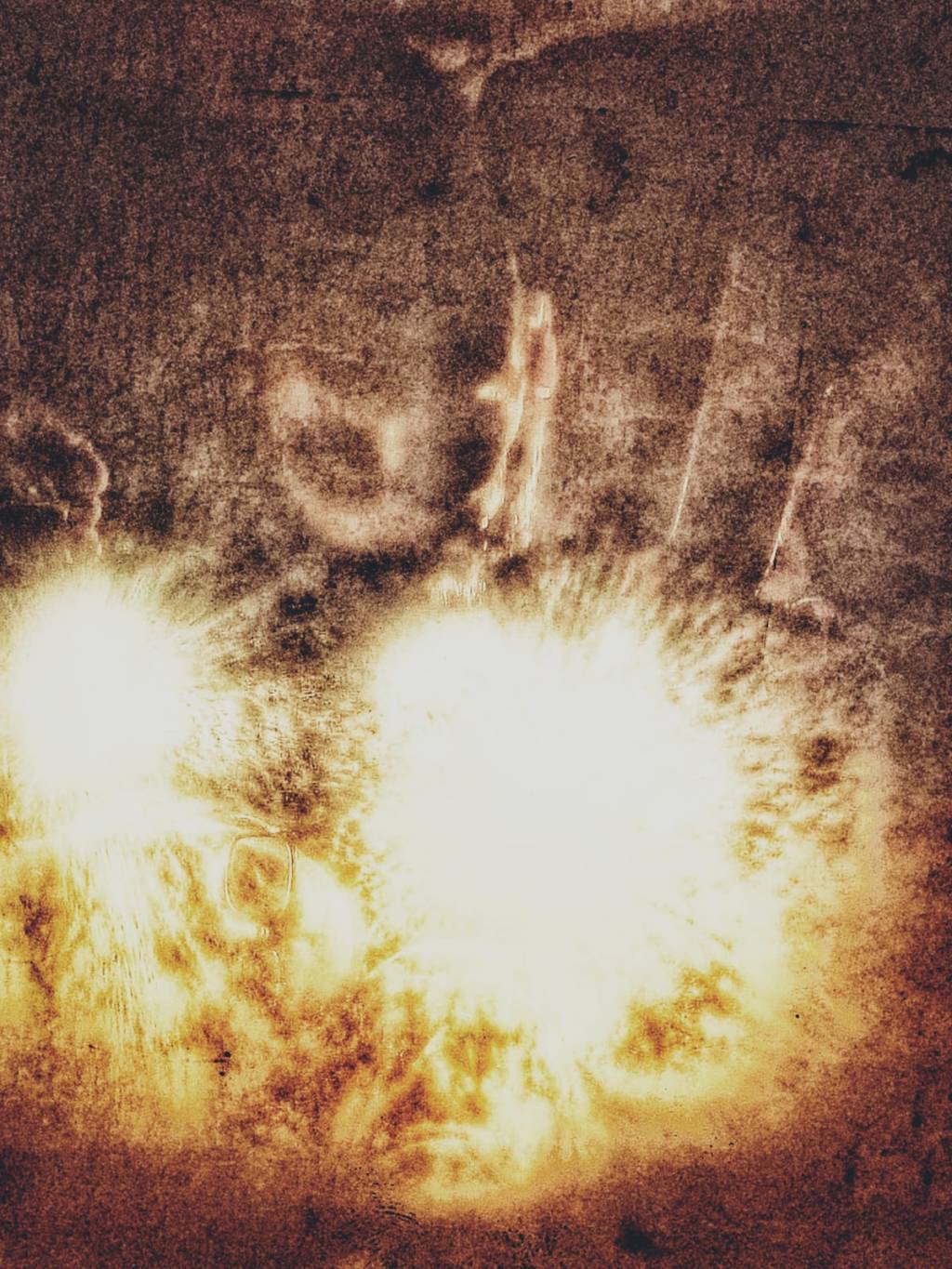 Ogni giorno muoiono delle&nbsp;formiche…