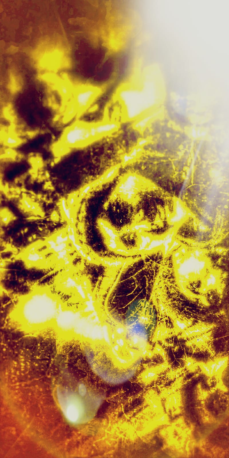 Le Anti-Cose non credono in se&nbsp;stesse