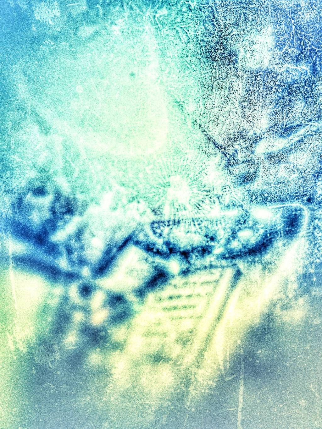 BL LACERTAE – le grandi domande de LE&nbsp;COSE