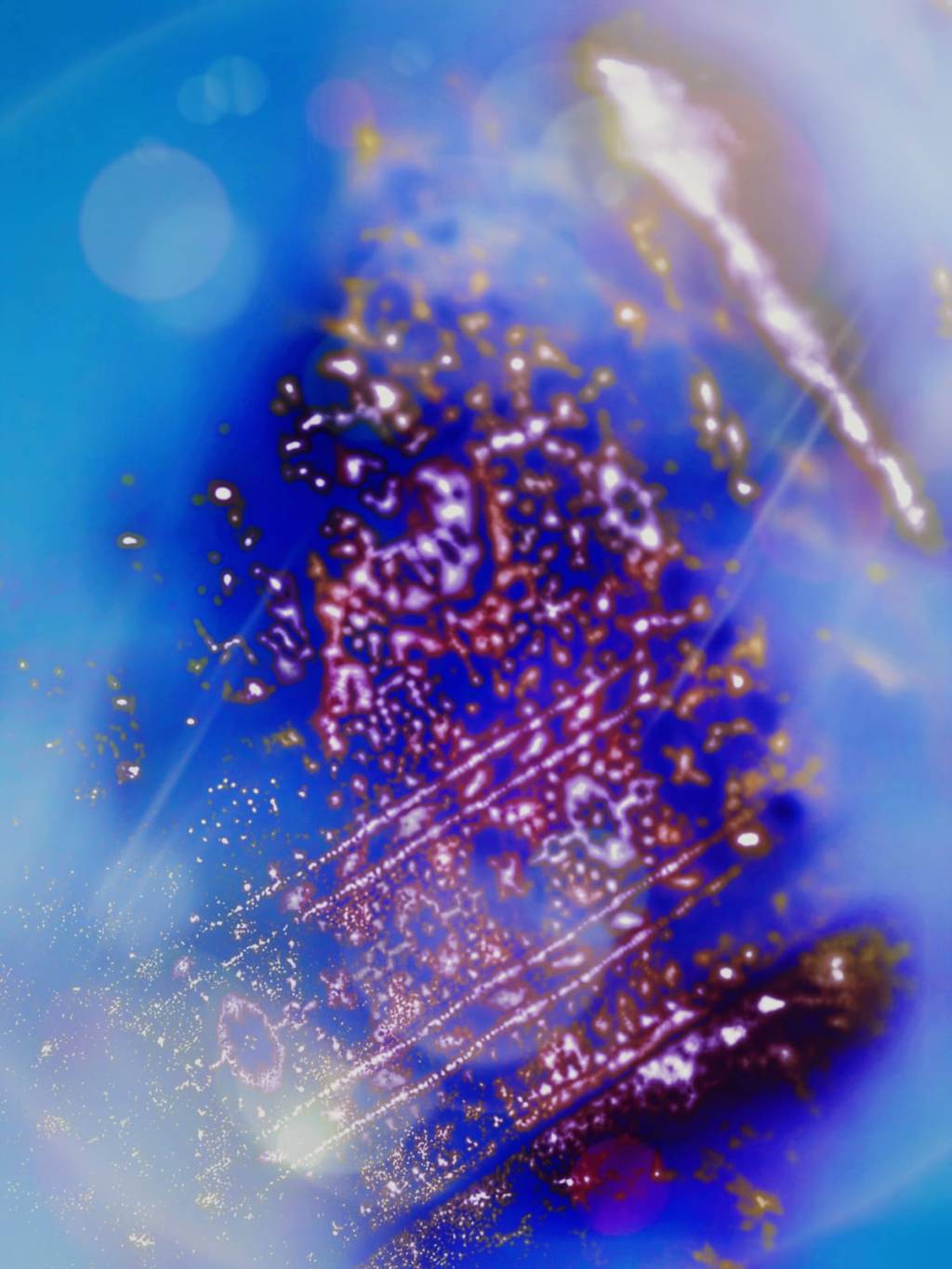 IL SISTEMA BINARIO: DENEB, ALTAIR E LO SCOTTO DA PAGARE PER LA&nbsp;NOTORIETÀ