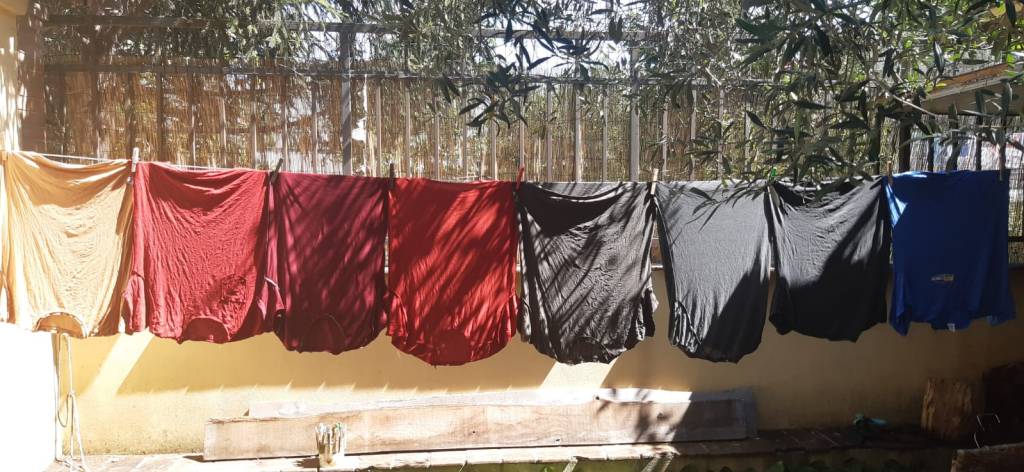 Aforismi, numero extra