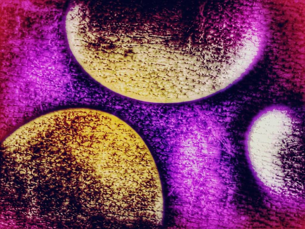 Le Cose di&nbsp;Lester