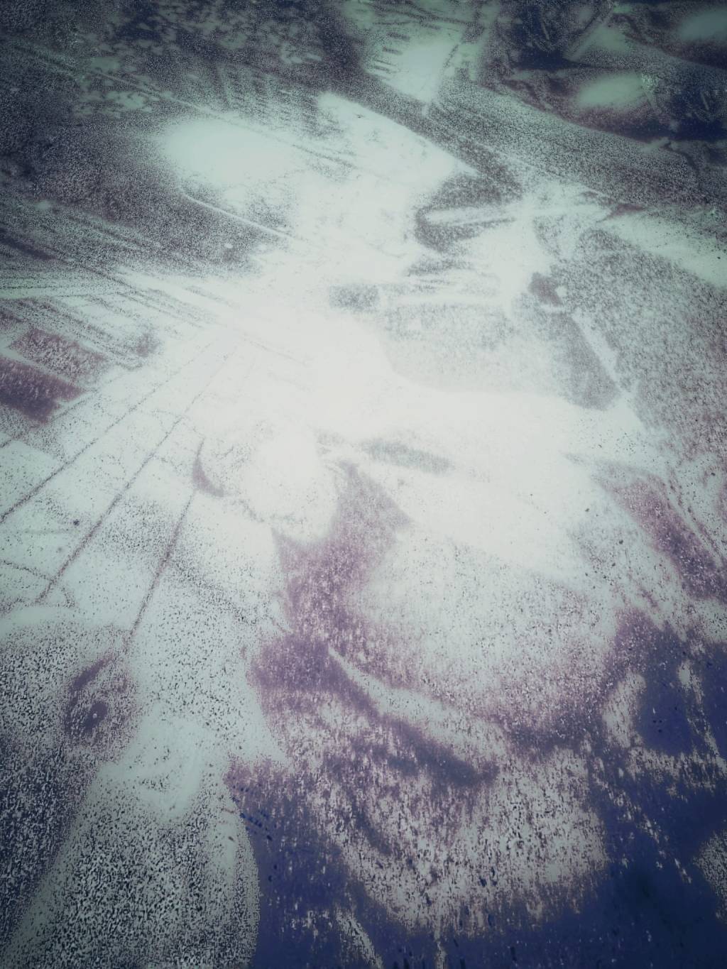 ଜିନିଷ ଜଗତର ସମସ୍ତ ଲୋକଙ୍କୁ ଭଲ ପାଏ&nbsp;|