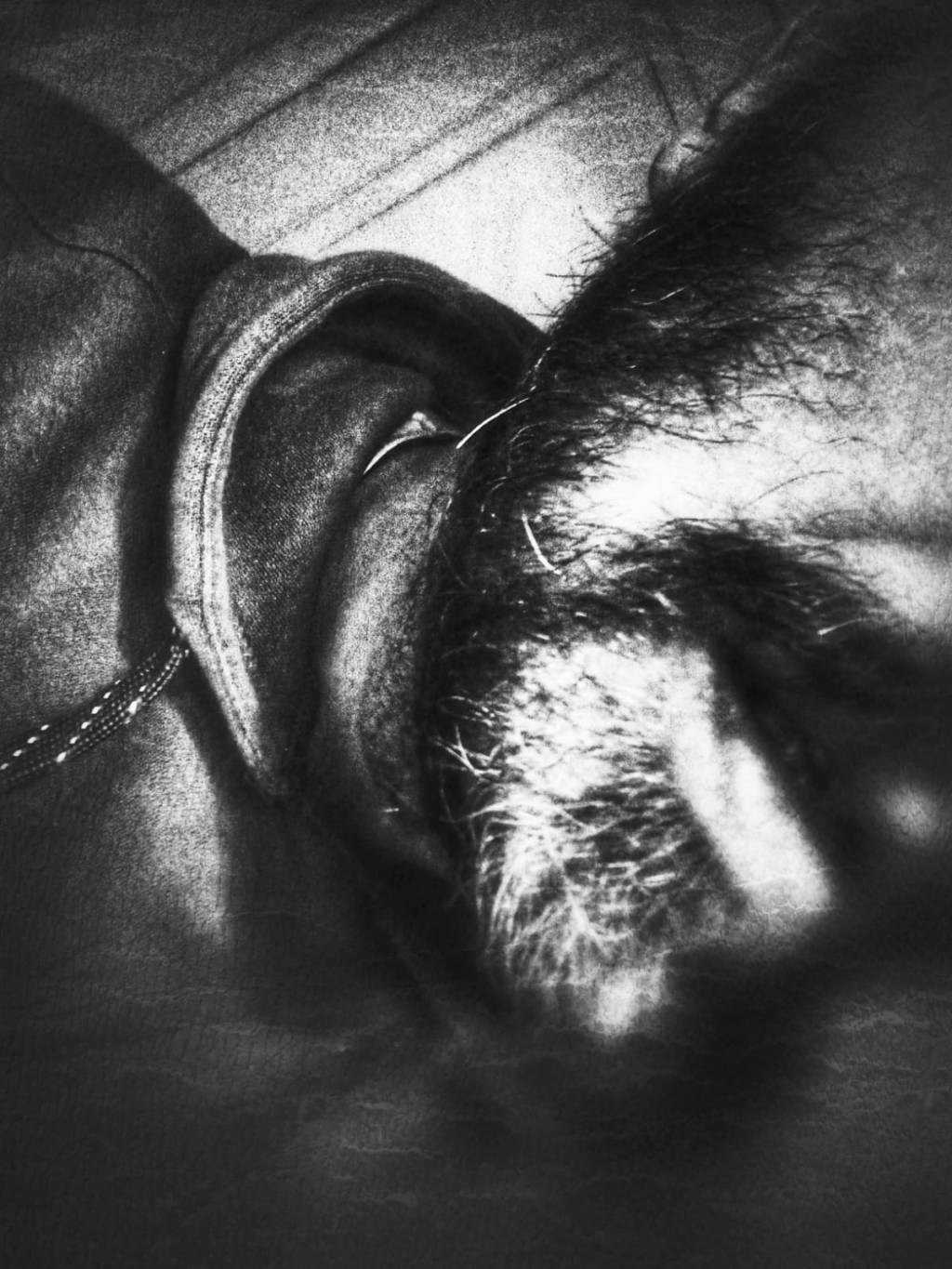 Mercalli oggi compie 435 anni…