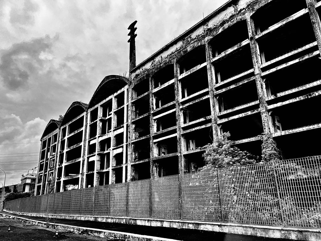 Le Cose Summer Tour Diary&nbsp;#2